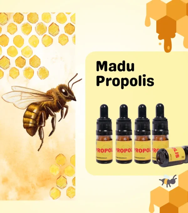 Madu Propolis - 1