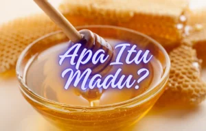 APA ITU MADU