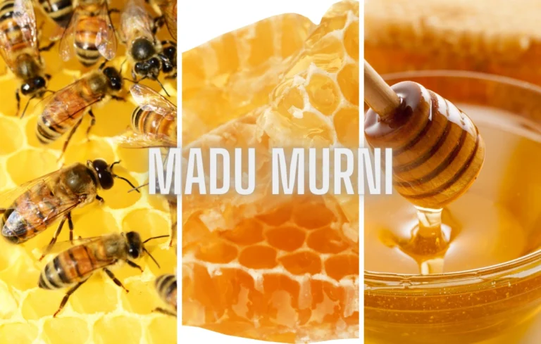 MADU MURNI